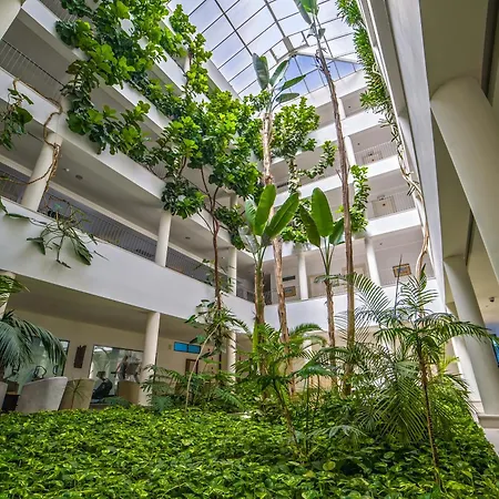 شقة فندقية Petra البوفيرا