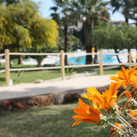 Petra Apartahotel