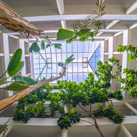 Petra شقة فندقية البوفيرا