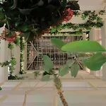 维拉佩特拉公寓式酒店 阿尔布费拉
